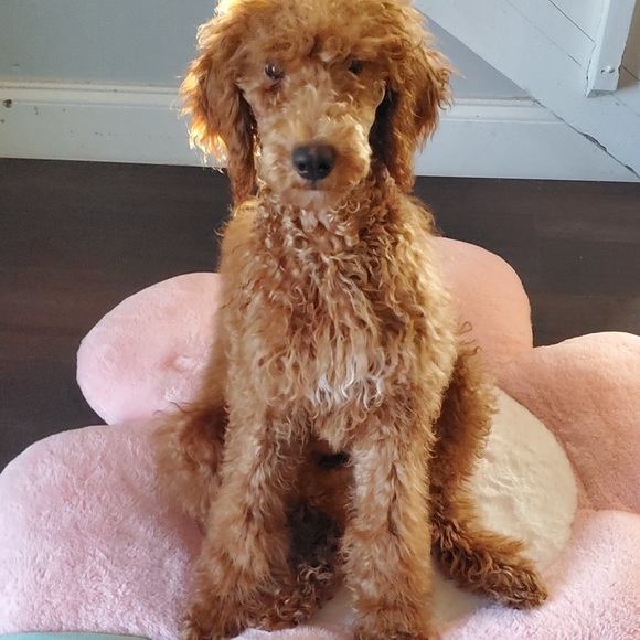 Me - Picture 17 of 17